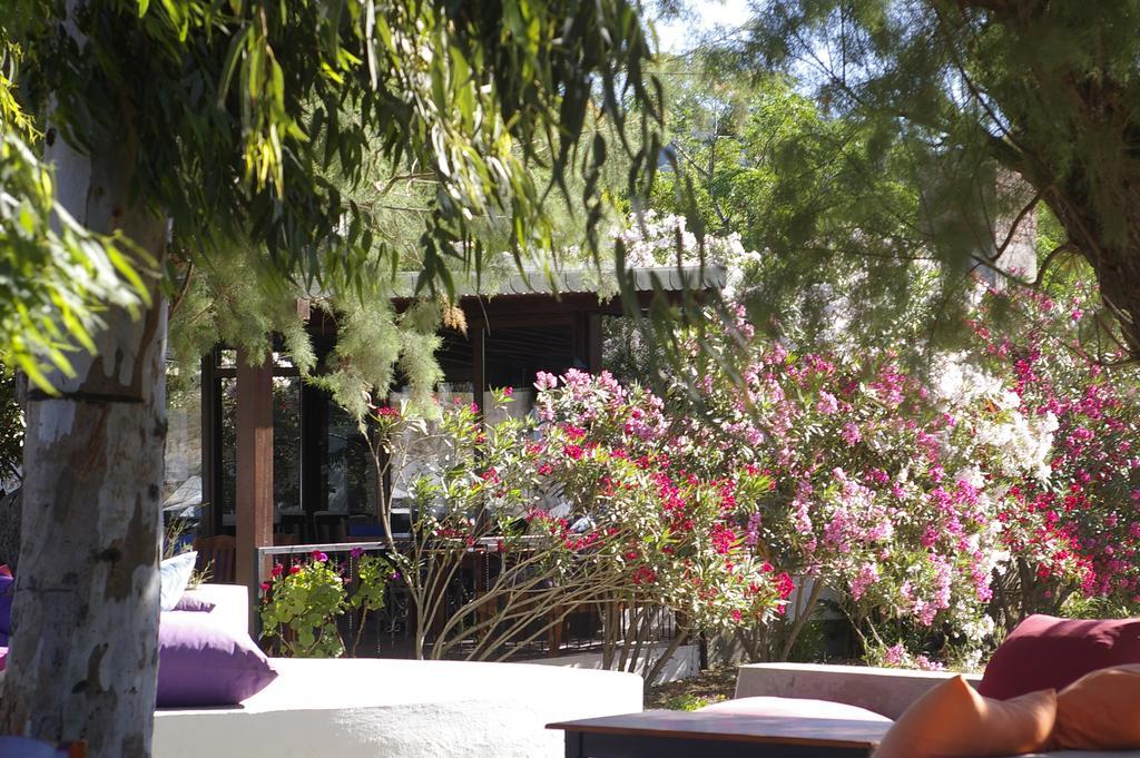 Arriba Pension & Restaurant Ґюмюшлюк Екстер'єр фото